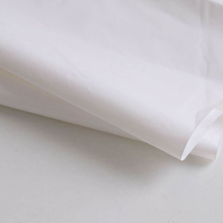 Picture of Biodegradable Mailer Bag (Large)