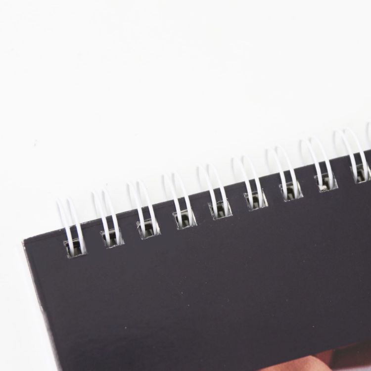 Picture of Full Colour Diary NoteBook