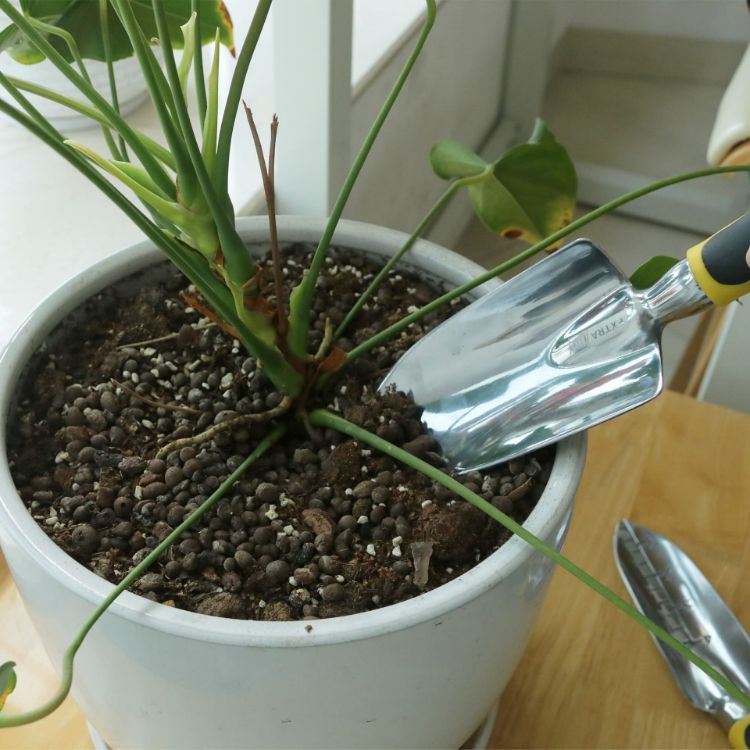 Picture of Garden Hand Tool Set