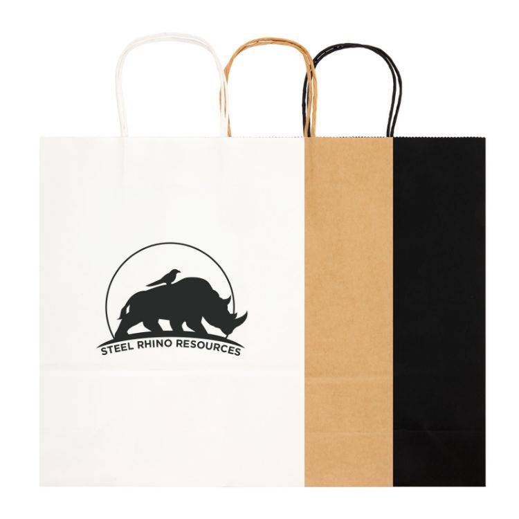Picture of Express Paper Bag Large
