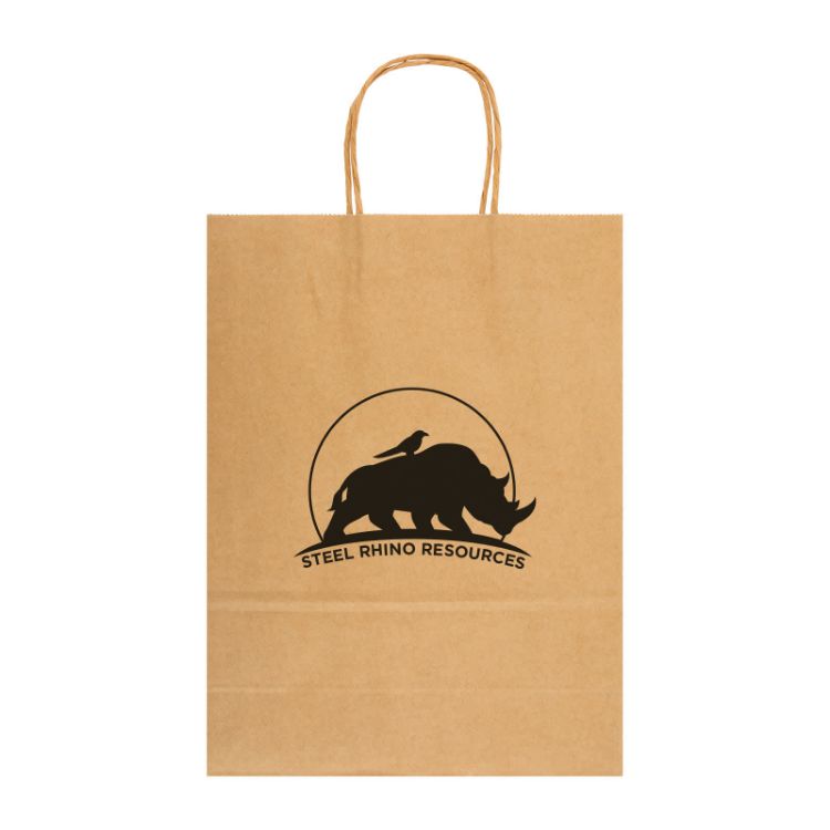 Picture of Express Paper Bag Large