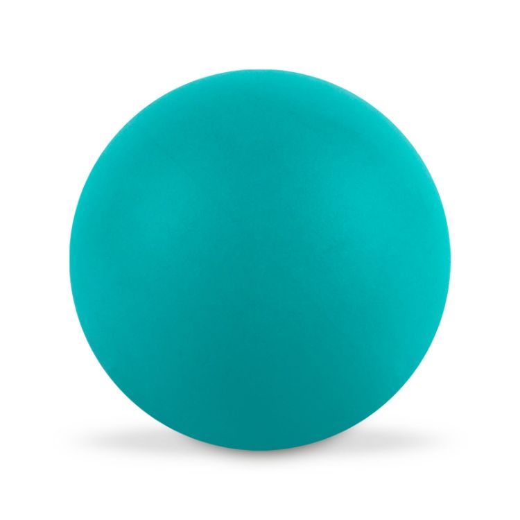 Picture of Hi Bounce Ball