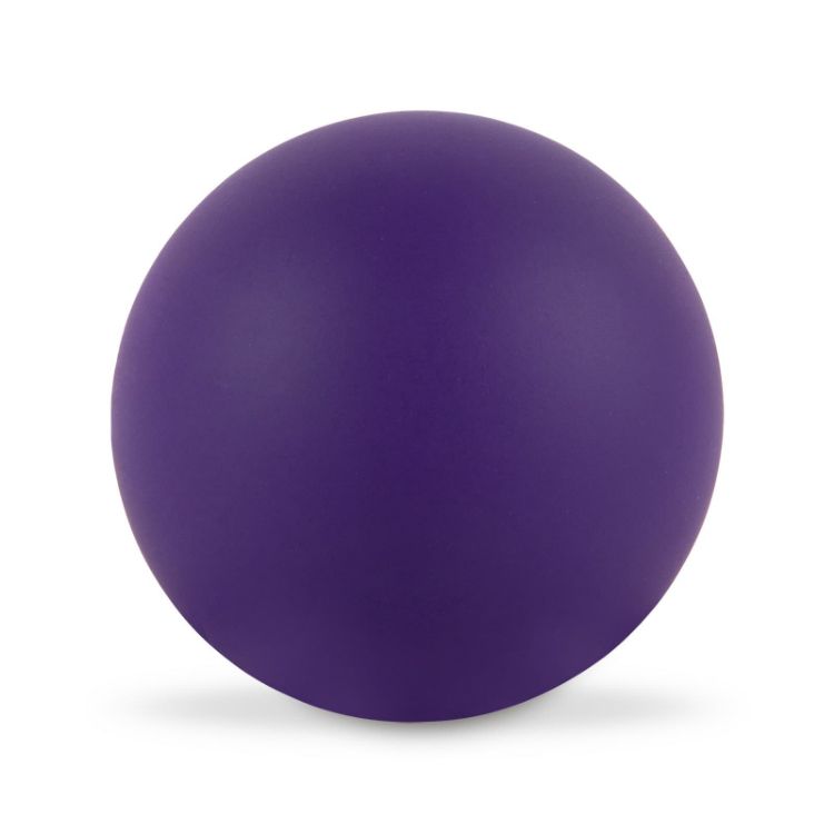 Picture of Hi Bounce Ball