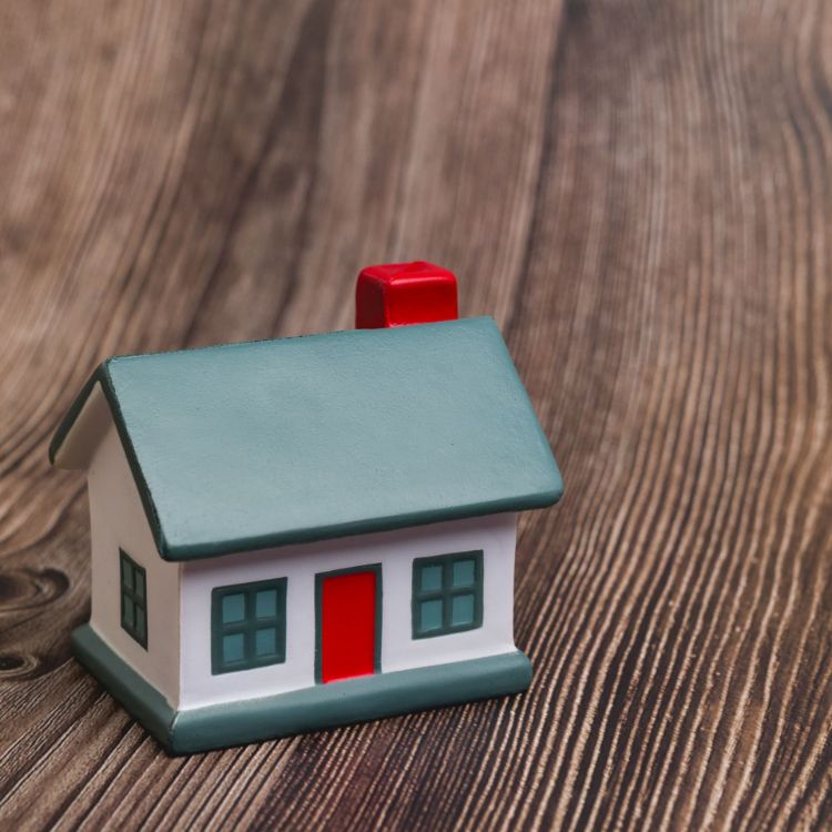 Picture of House Stress Reliever