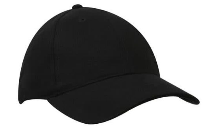 Picture of Brushed Heavy Cotton Cap