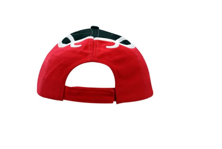 Picture of Brushed Heavy Cotton Cap with Flame Embroidery on Crown & Peak